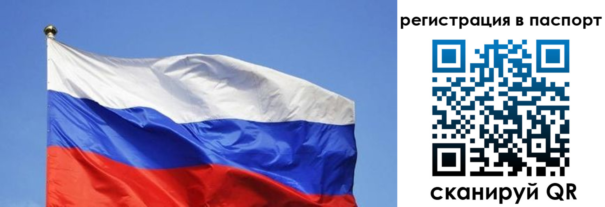 прописка в квартире в Камчатской области